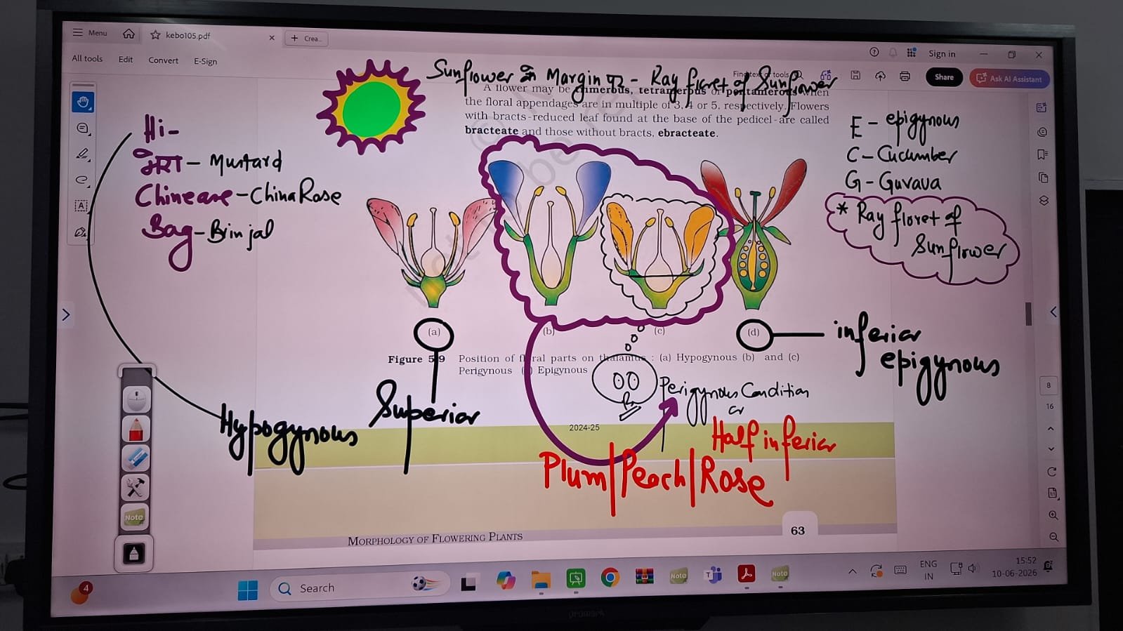 VidyaSaarthi Diagram 1